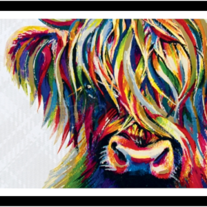 Highland cow poster featuring Maggie the Coo in bold rainbow colours on a white textured background